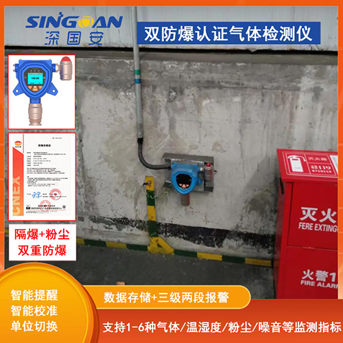 雙防爆認(rèn)證氣體檢測儀