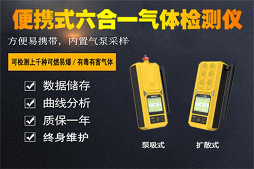便攜式氣體檢測(cè)儀